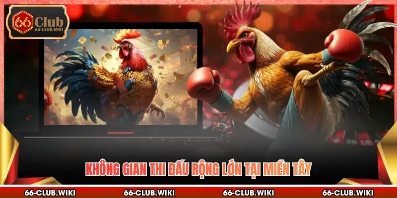 Không gian thi đấu rộng lớn tại miền Tây