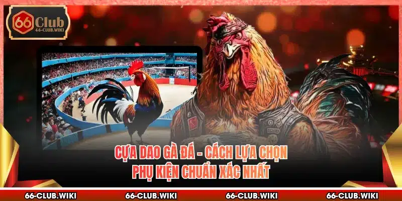 Cựa Dao Gà Đá - Cách Lựa Chọn Phụ Kiện Chuẩn Xác Nhất