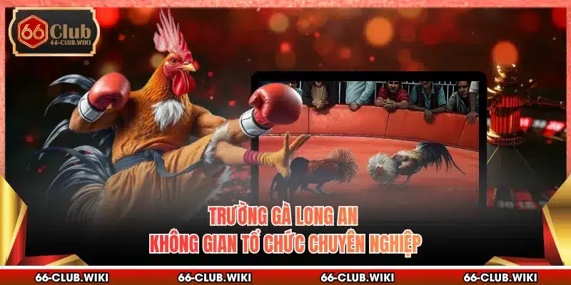 Trường Gà Long An - Không Gian Tổ Chức Chuyên Nghiệp